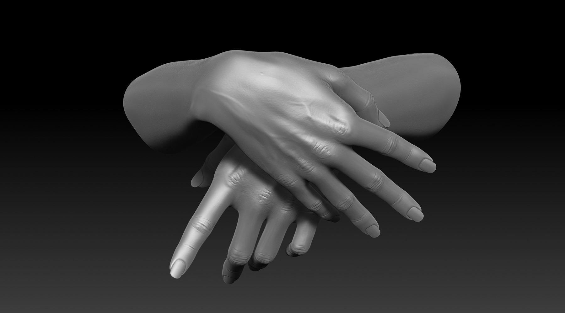 Hands 20. Hands 20. Hand anatomy for banner. 3d printable female hands. Hands 20.