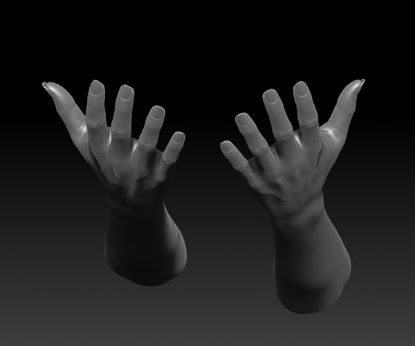 Artstation 3d Printable Female Hands 20 Poses Pack Resources