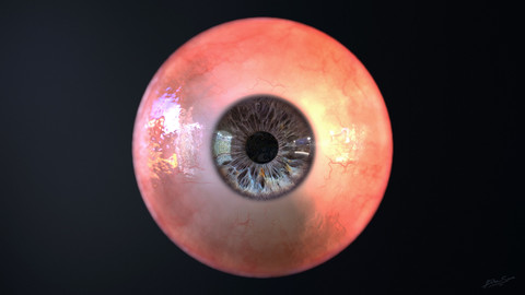 Eye Pack / Human - Zombie - Orc - Walker