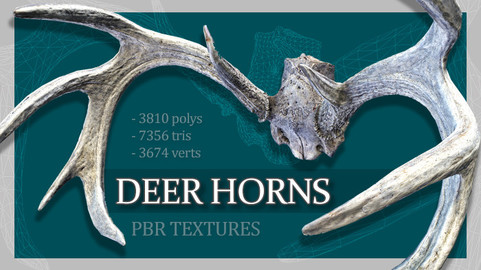 Deer Horns