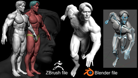 Basemesh Muscular Male