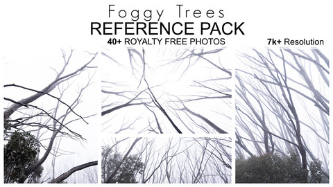 Reference Pack - Foggy Trees - 40+ Royalty Free Photos