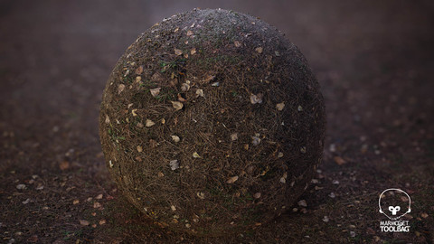 Pine Needles - 8k Photogrammetry PBR Textures