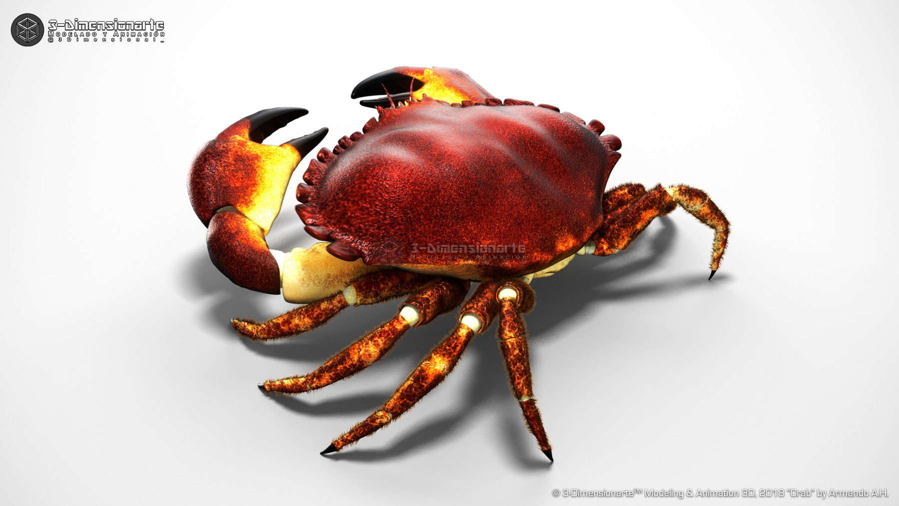 ArtStation - Crab | Resources