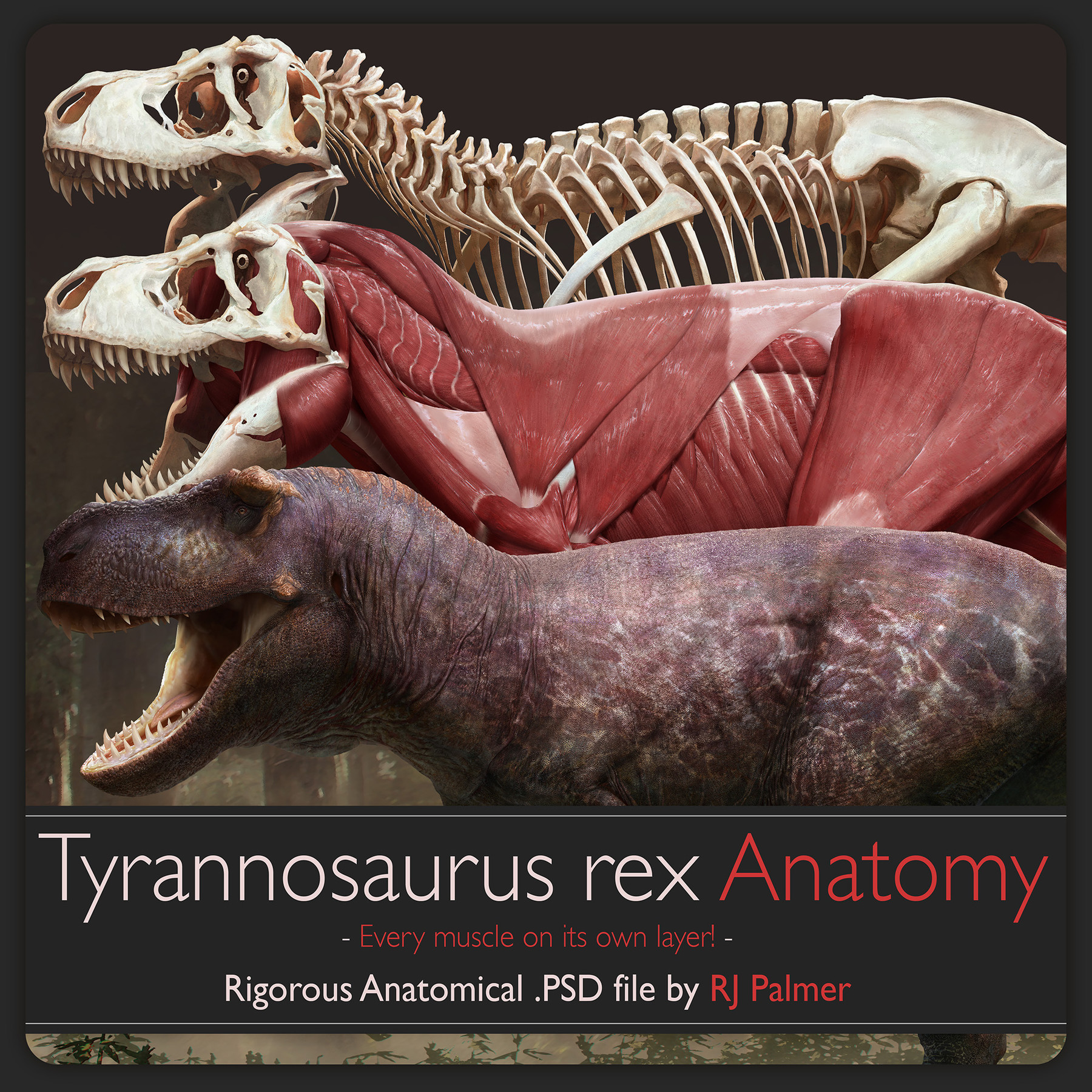ArtStation - Tyrannosaurus rex Anatomy