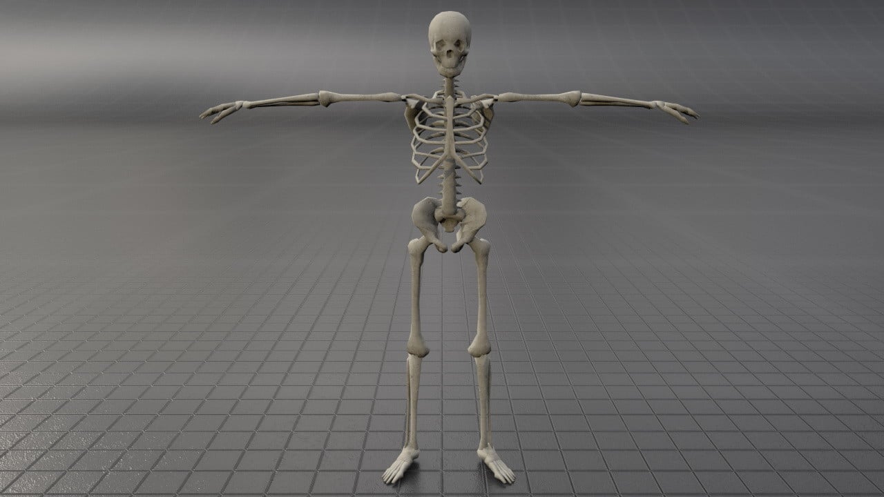 ArtStation Skeleton Poses Pack Lowpoly 3D model