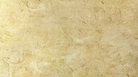 Plaster wall decorative bark coating paint texture material