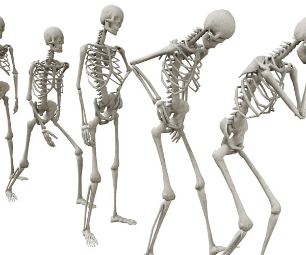 ArtStation - Skeleton Standing Poses - Low-poly 3D model | Resources