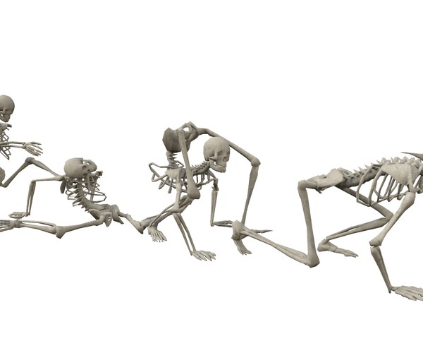 ArtStation - Skeleton Random Poses - Low-poly 3D model | Game Assets