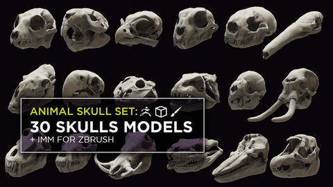 3D Animal Skulls set: 30 skulls + IMM brush