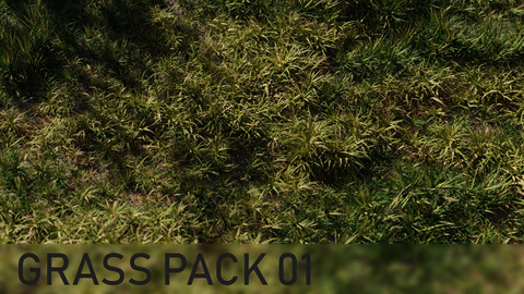 3D Grass Pack 01