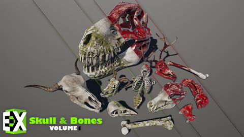 UE4 Skull And Bones Vol.1