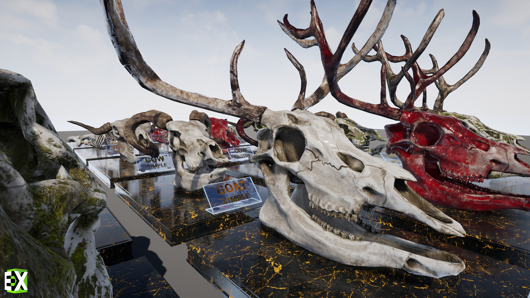 skull and bones gameplay