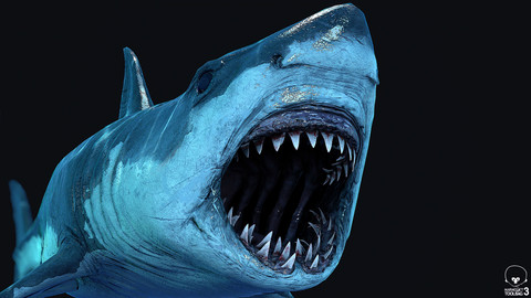 what is sharks 3d software what is sharks 3d software