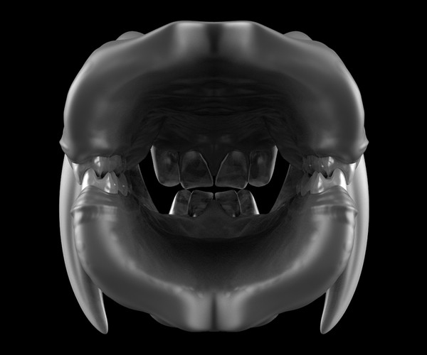 ArtStation - CREATURE KITS: Wolf Fish Teeth & Gums - High Poly OBJ File /  ZBrush File with Subdivisions | Resources