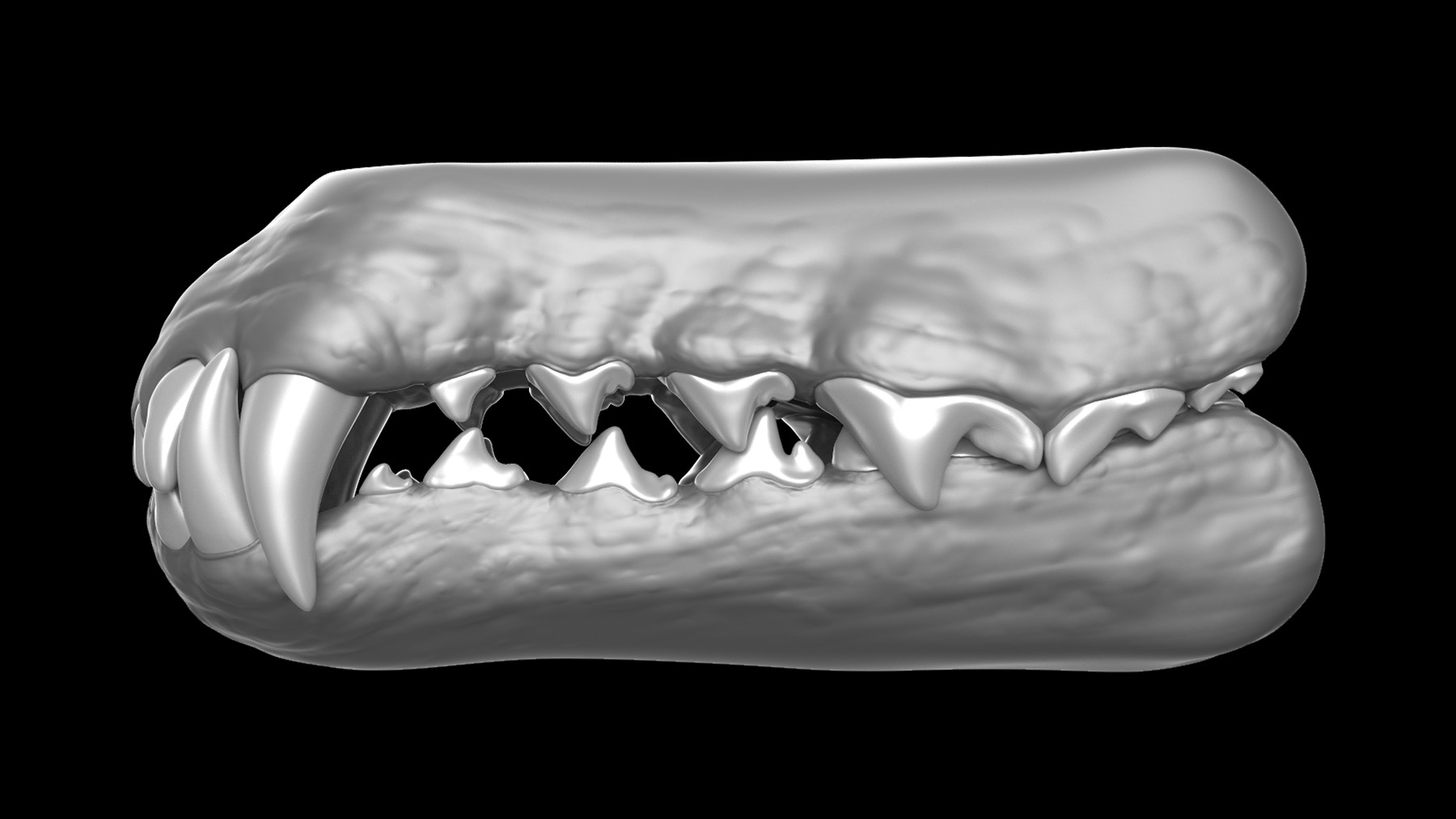 ArtStation - CREATURE KITS: Bundle 1 - 4 Teeth & Gums Sets - High Poly ...