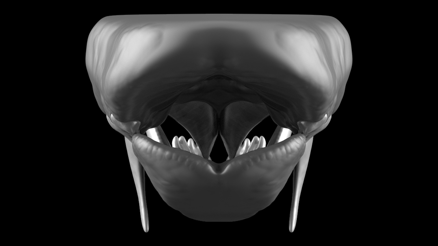 ArtStation CREATURE KITS Vampire Bat Teeth & Gums High Poly OBJ