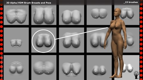 3D Alpha / VDM Breasts and Pecs Brush  for ZBrush (15 brushes)