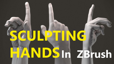 Sculpting Hands In Zbrush Premium Course