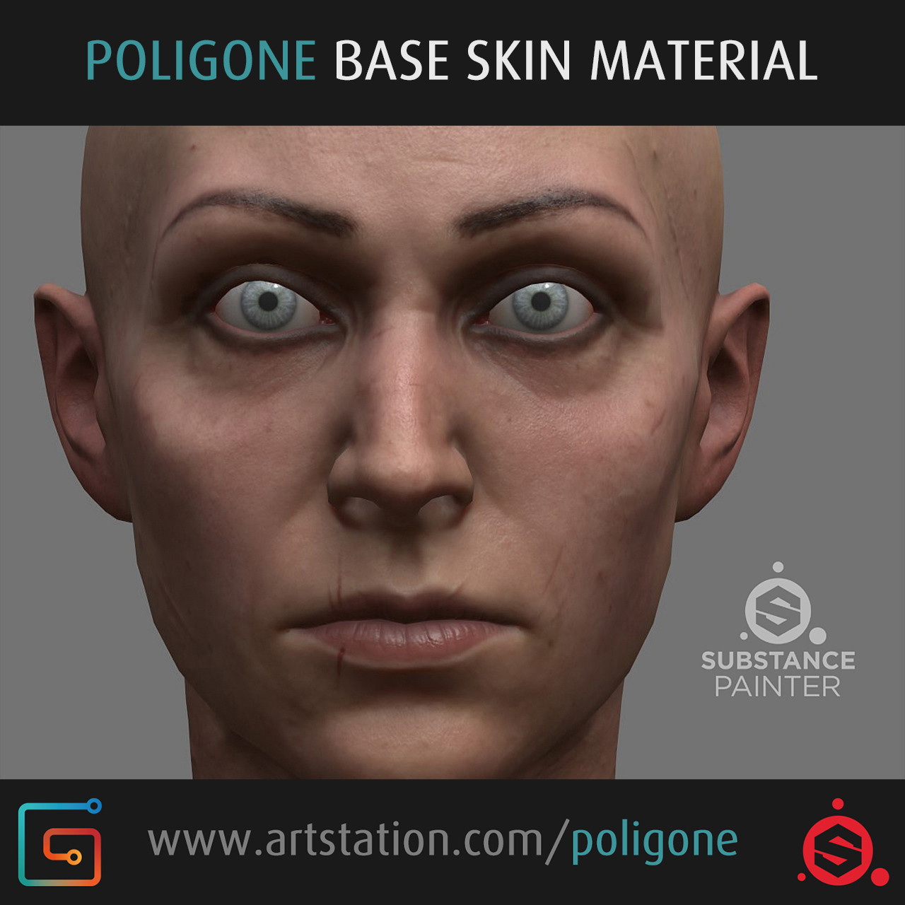 ArtStation - Poligone Realistic Base Skin Smart Material for Substance ...