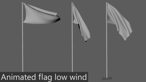Animated Flag - low wind