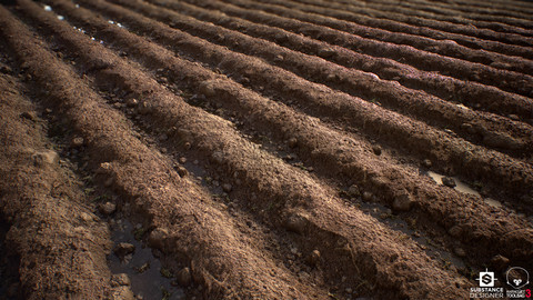 Tilled Soil - Substance Designer Material