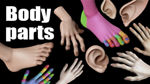 Body Parts