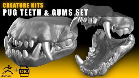 CREATURE KITS: Pug Teeth & Gums - High Poly OBJ File / ZBrush File with Subdivisions