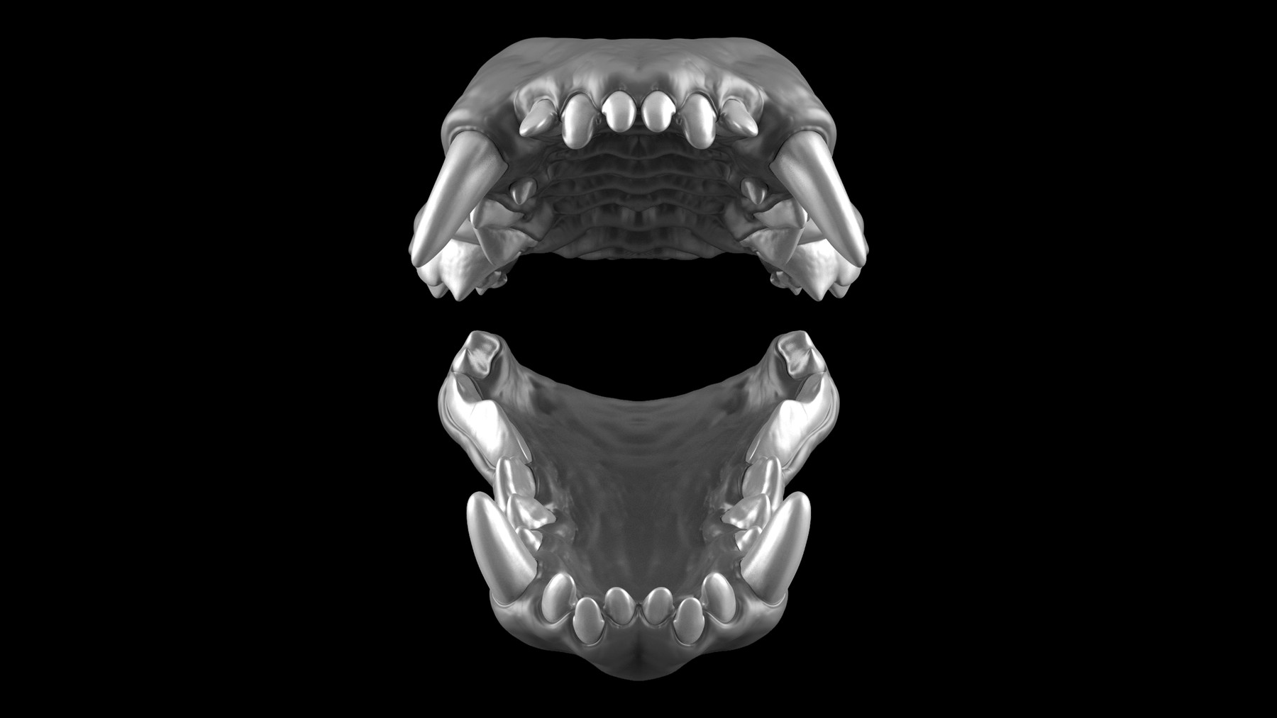 ArtStation CREATURE KITS Pug Teeth & Gums High Poly OBJ File