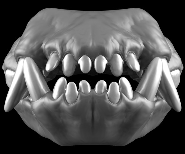 ArtStation - CREATURE KITS: Wolf Fish Teeth & Gums - High Poly OBJ File /  ZBrush File with Subdivisions | Resources