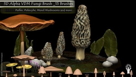 3D Alpha VDM Fungi Brush _15 brushes for ZBrush