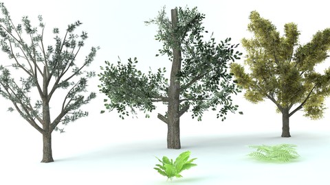 A set of vegetation Low-poly