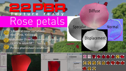 3D Rose petals (PBR textures + Photoshoot)