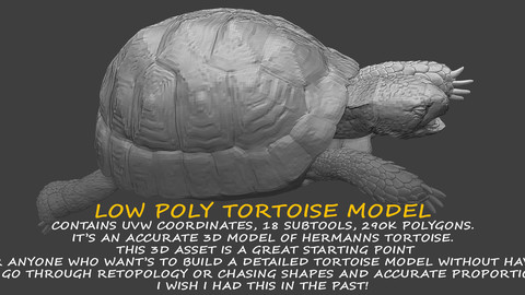 TORTOISE LOW POLY 3D MODEL