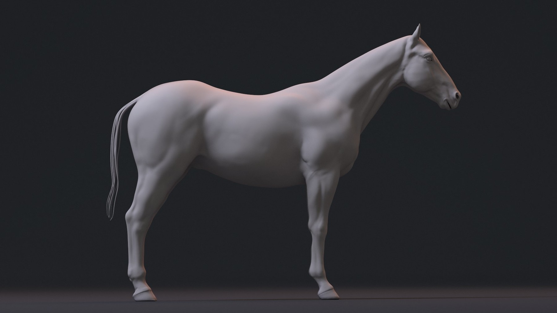 ArtStation - Realistic Horse | Resources