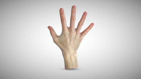 3D scan of the hand