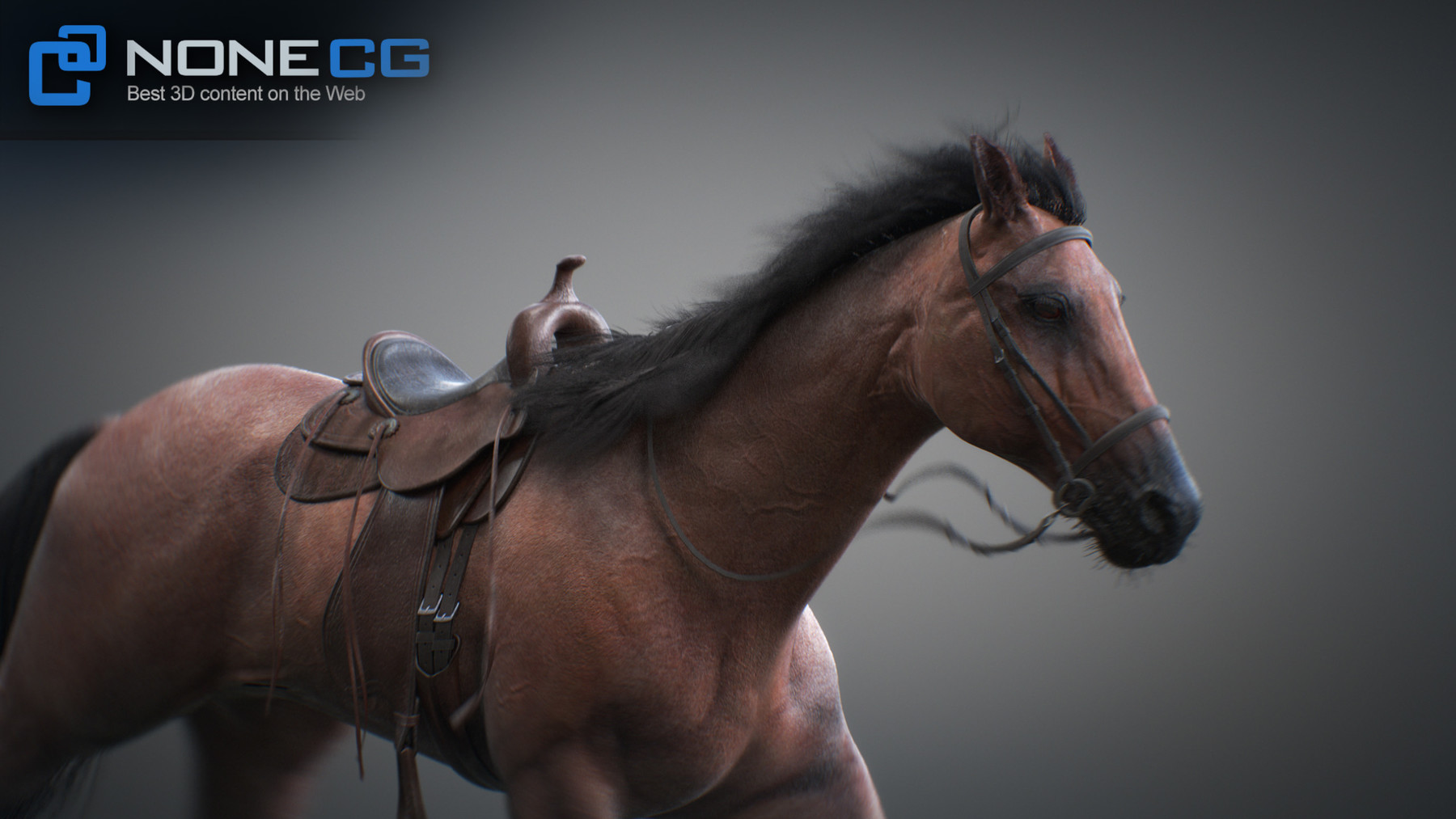 Nonecg 3d Models Horses 3dsmax V2