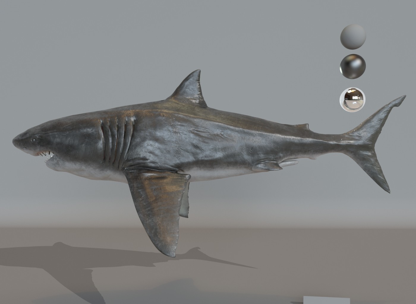 Great White Shark, 3D CAD Model Library