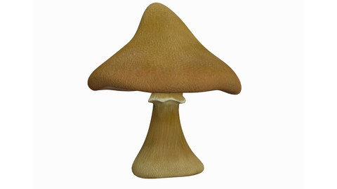 Mushroom
