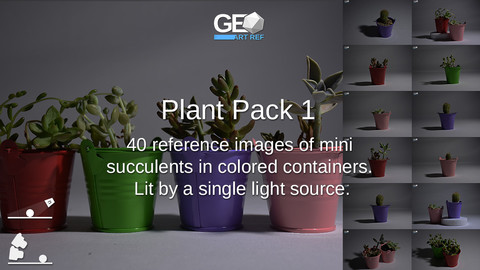 Plant Pack 1