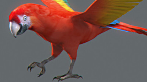 Animated Red Parrot