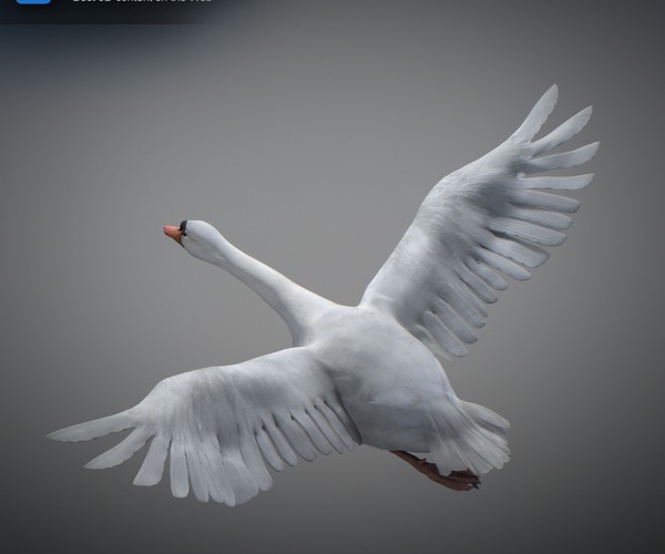 ArtStation - Animated Swan | Resources