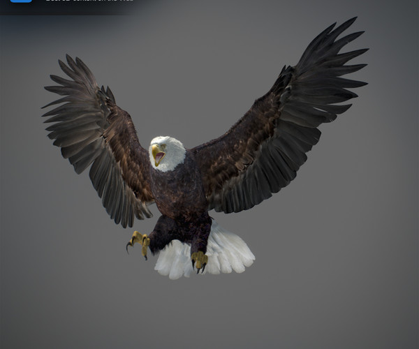 ArtStation Animated Bald Eagle Game Assets