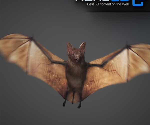 ArtStation - Vampire Bat | Game Assets