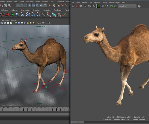 ArtStation - Animated Camel | Game Assets