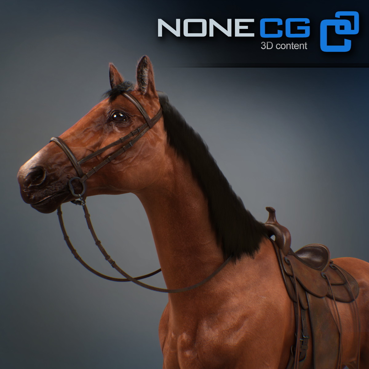 Western Horse 3D Model
