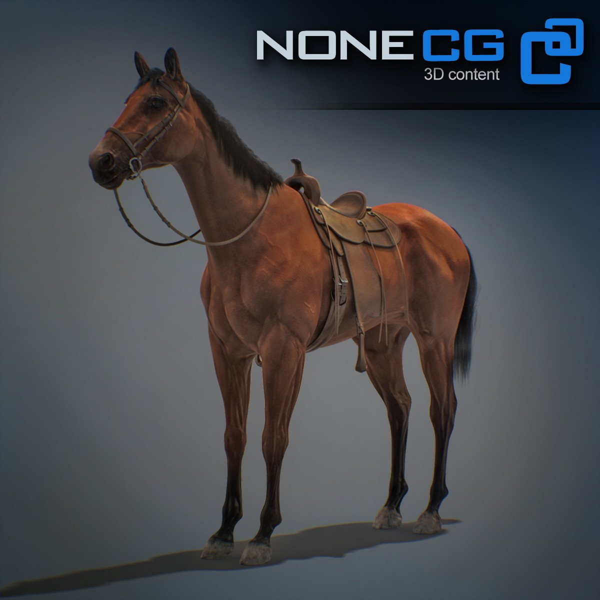 NoneCG 3D models - Western Horse