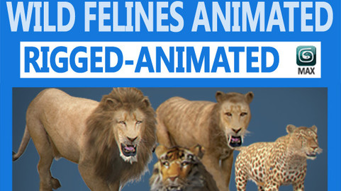 Pack – Wild Felines Animated