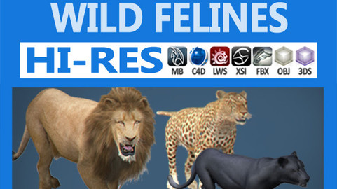 Pack – Wild Felines