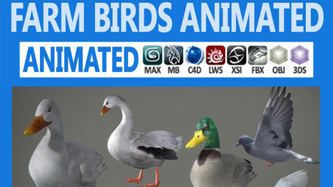 Pack – Farm Birds Animated